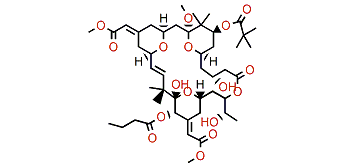 9-O-Methylbryostatin 4
